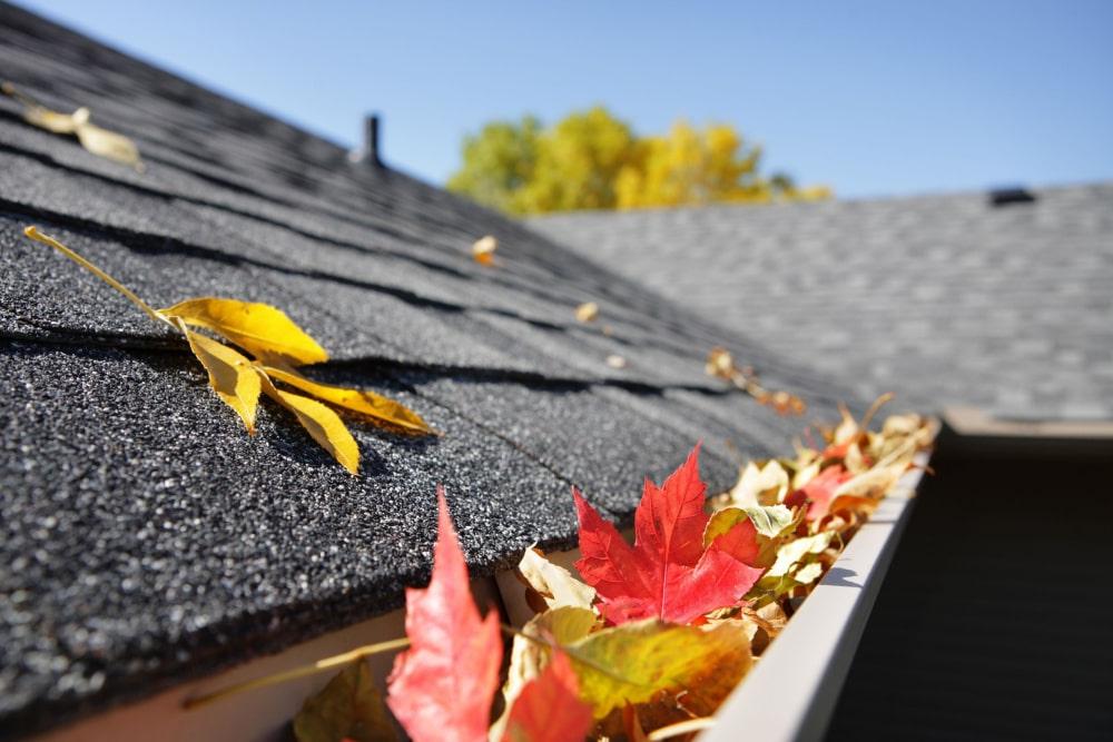 Gutters Filled With Red And Orange Leaves On Roof